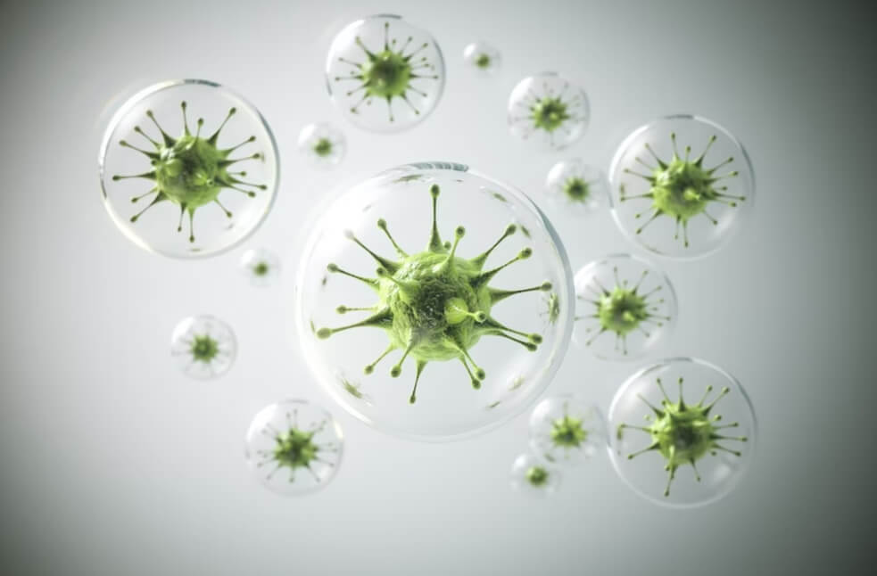 kusafisha mwili na vimelea